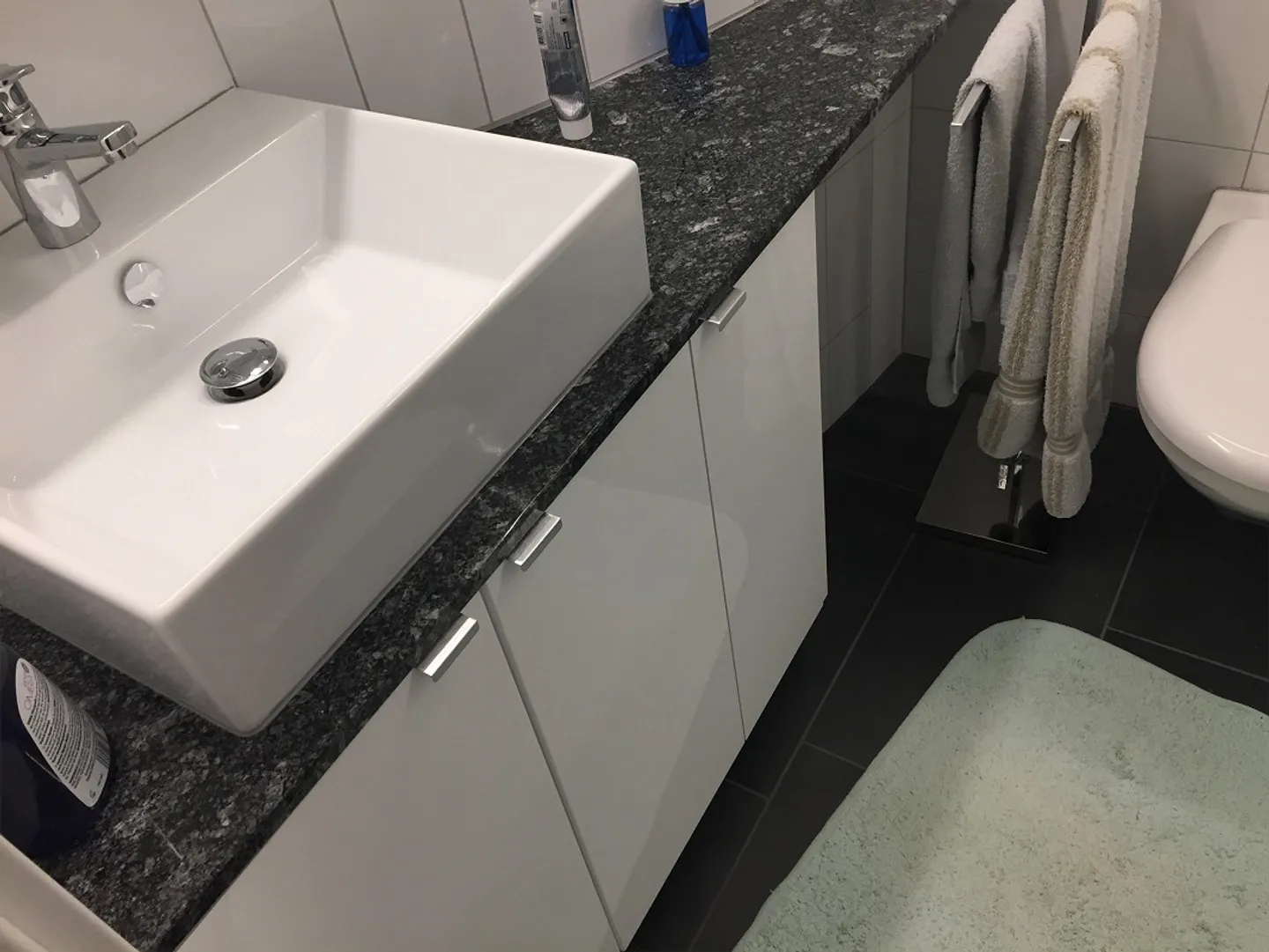 Dream apartment with beautiful lake view - Photo 8 of 14