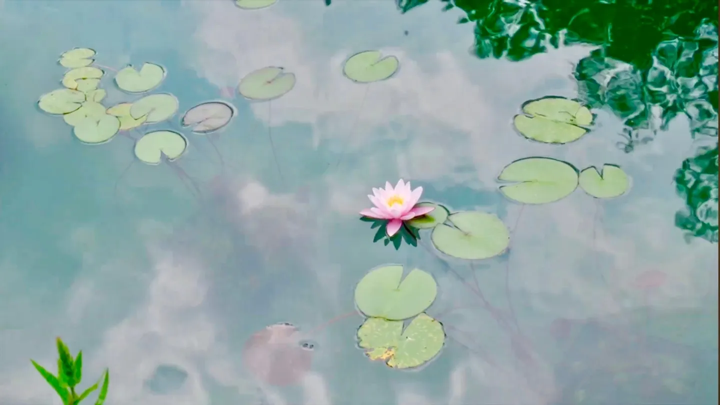 Exclusive country house surrounded by greenery with separate outbuilding and pond - Photo 6 of 7