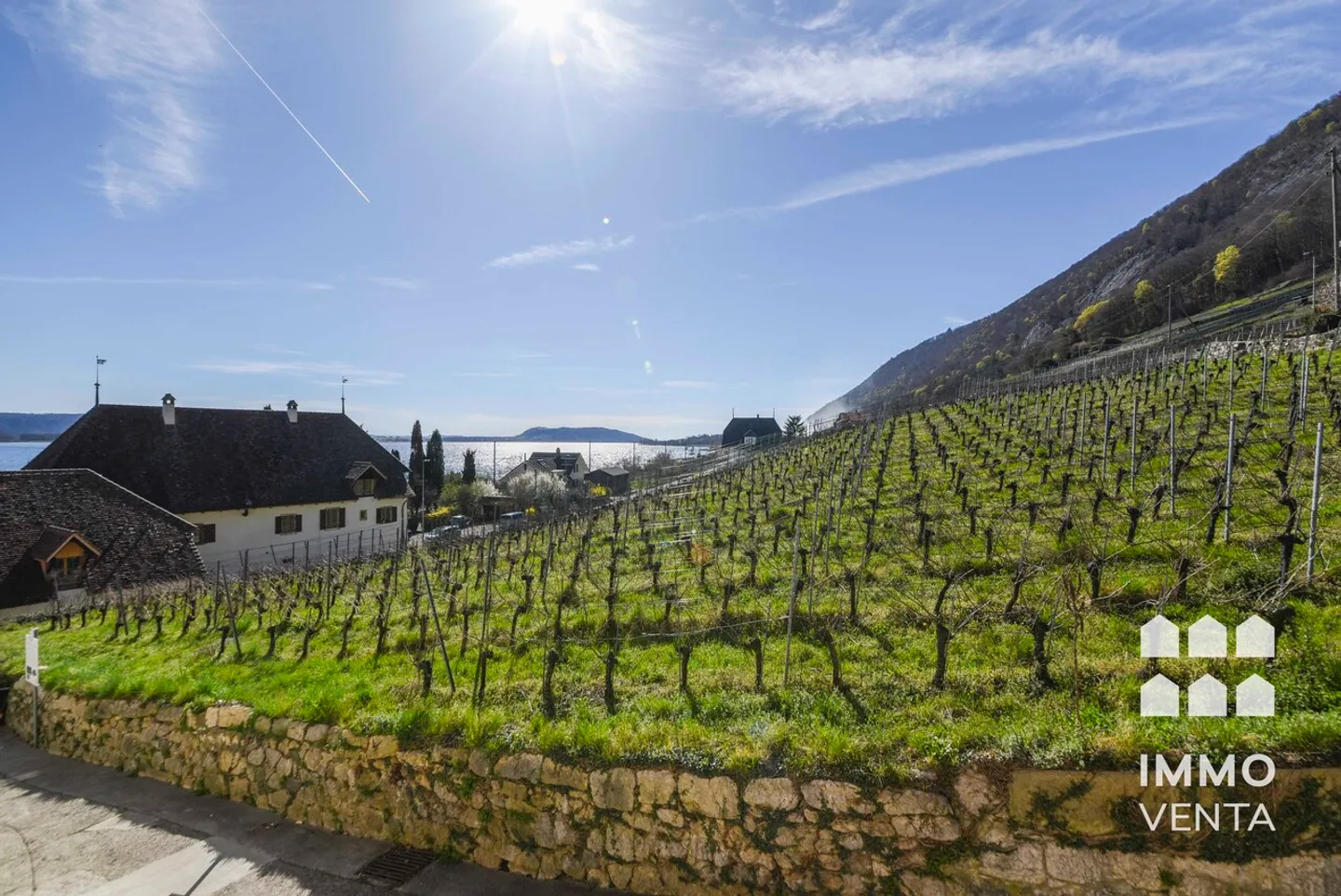 Single-family house in Ligerz with lake view and own vineyards - Photo 12 of 16