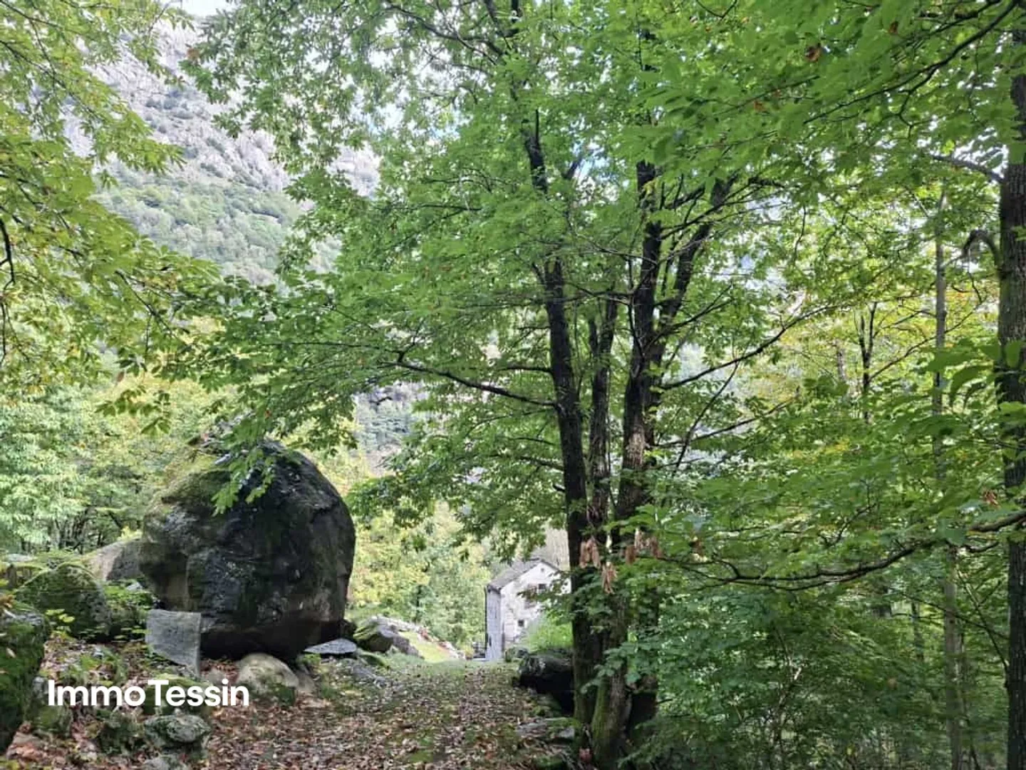 Rustique charmant au milieu de la nature dans un emplacement isolé et ensoleillé dans le Verzascatal avec accès direct - Photo 5 sur 13