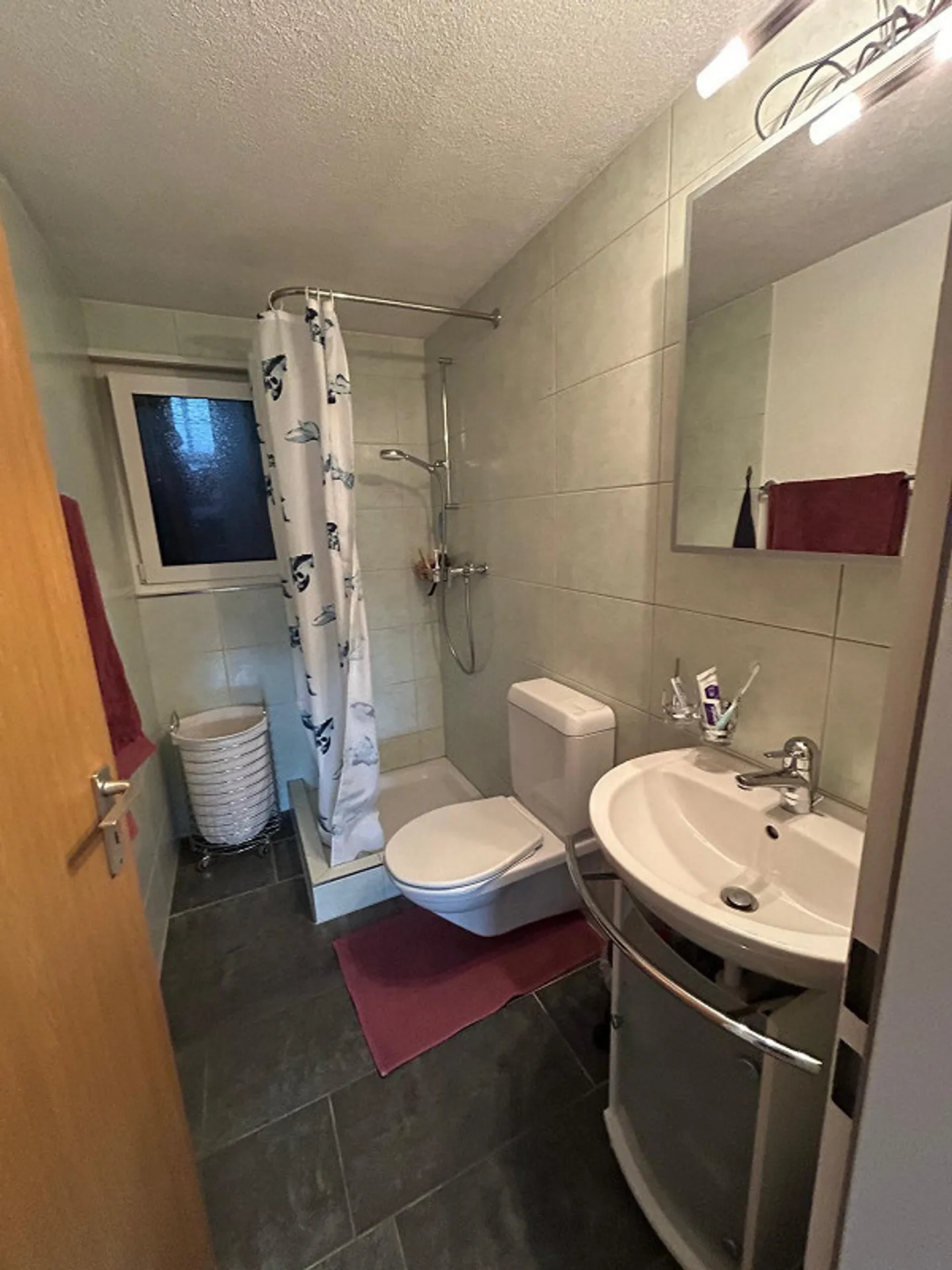 2.5 Room Apartment for Rent in Schmerikon - Photo 7 of 7