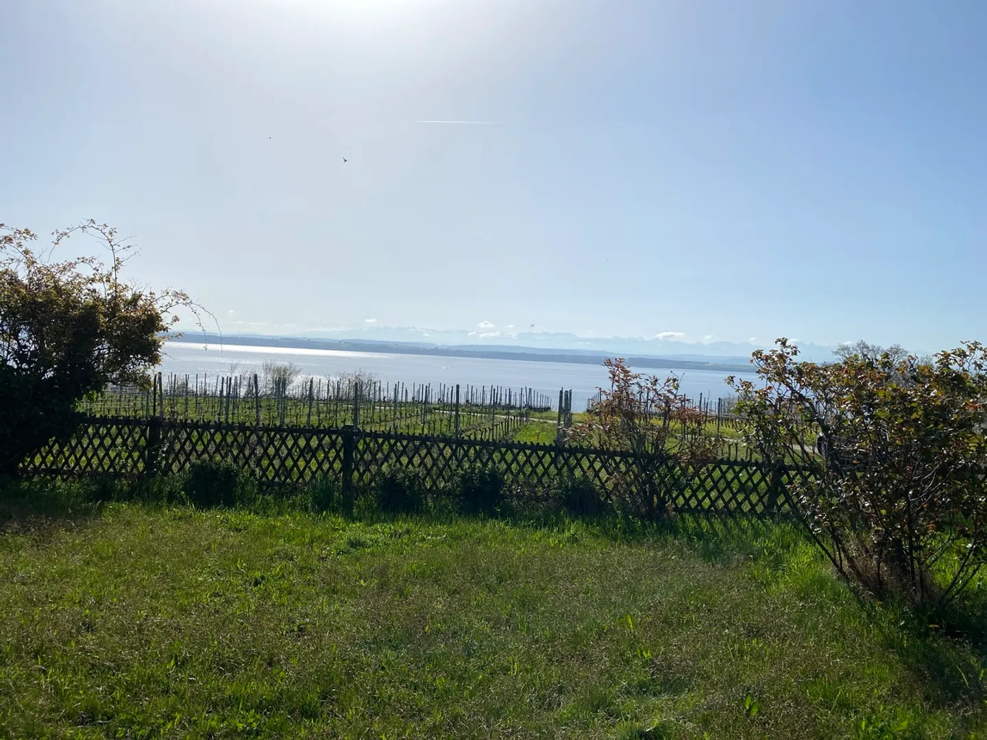 CORTAILLOD (NE); Très belle maison villageoise d'environ 400m2 avec ses vignes, son jardin et dégagement - Photo 5 sur 6