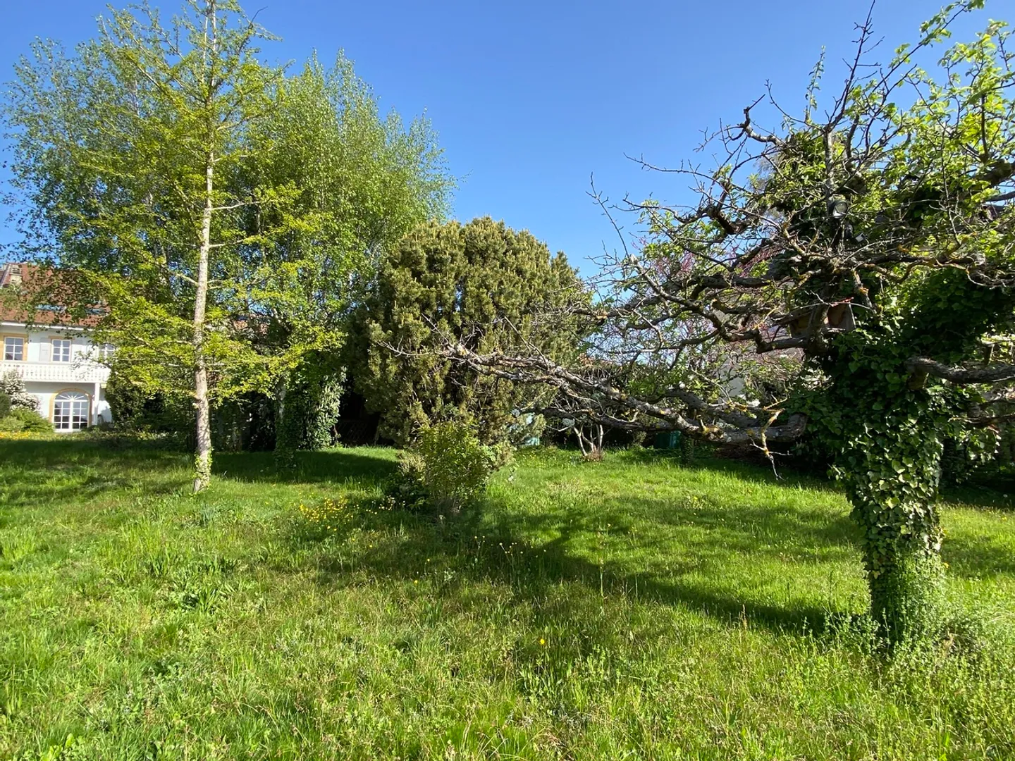 CORTAILLOD (NE); Très belle maison villageoise d'environ 400m2 avec ses vignes, son jardin et dégagement - Photo 6 sur 6