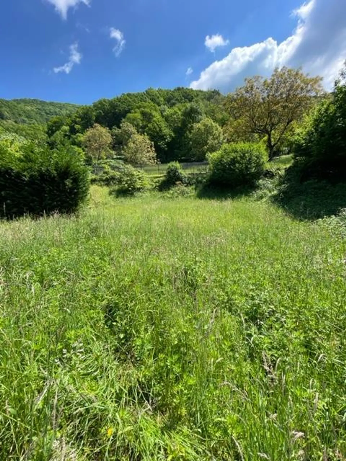 TERRAIN CONSTRUCTIBLE À BRUSINO AVEC UNE VUE IMPRENABLE SUR LE LAC – ID 23490 - Photo 4 sur 7