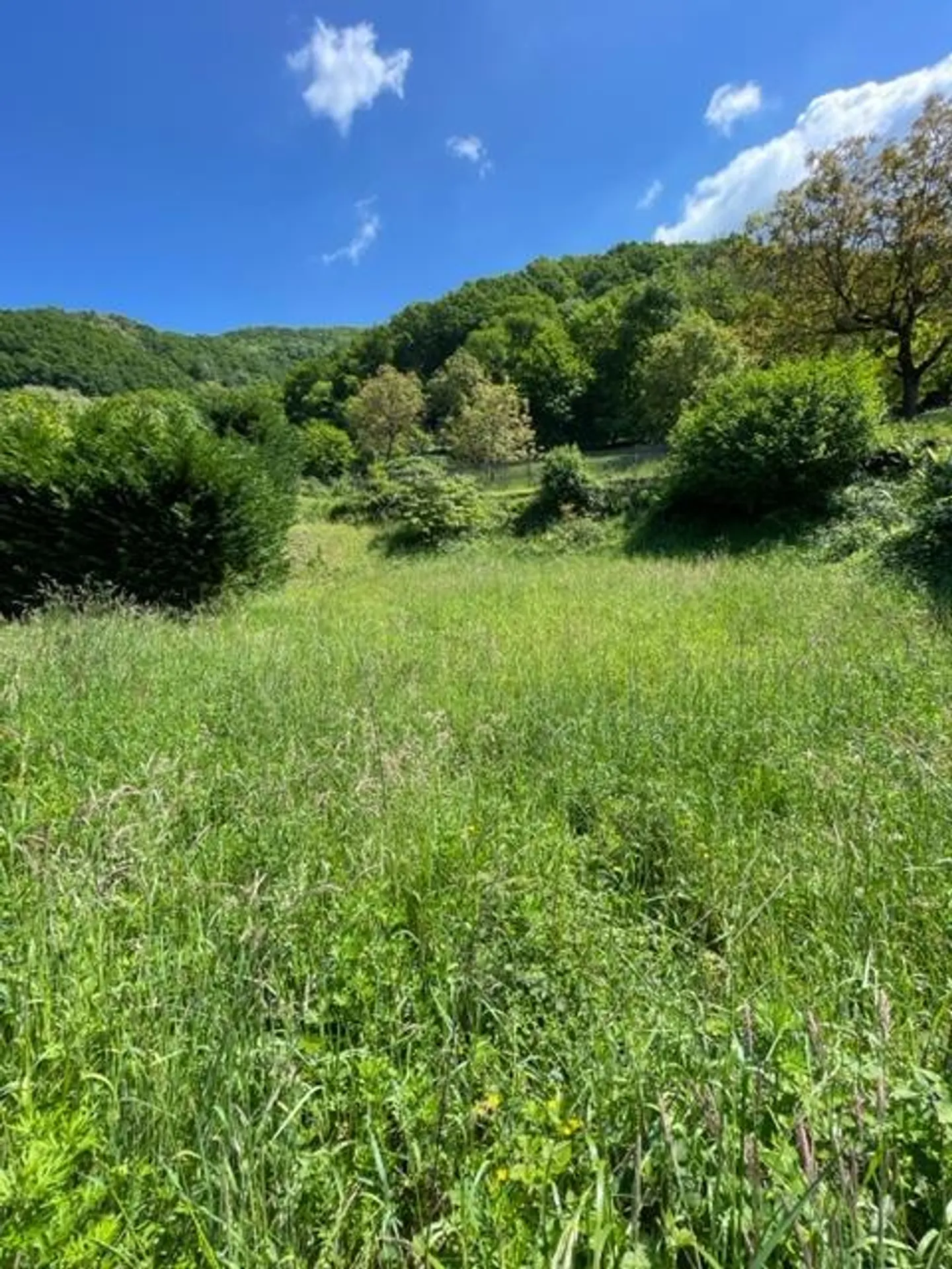 TERRAIN CONSTRUCTIBLE À BRUSINO AVEC UNE VUE IMPRENABLE SUR LE LAC – ID 23490 - Photo 5 sur 7