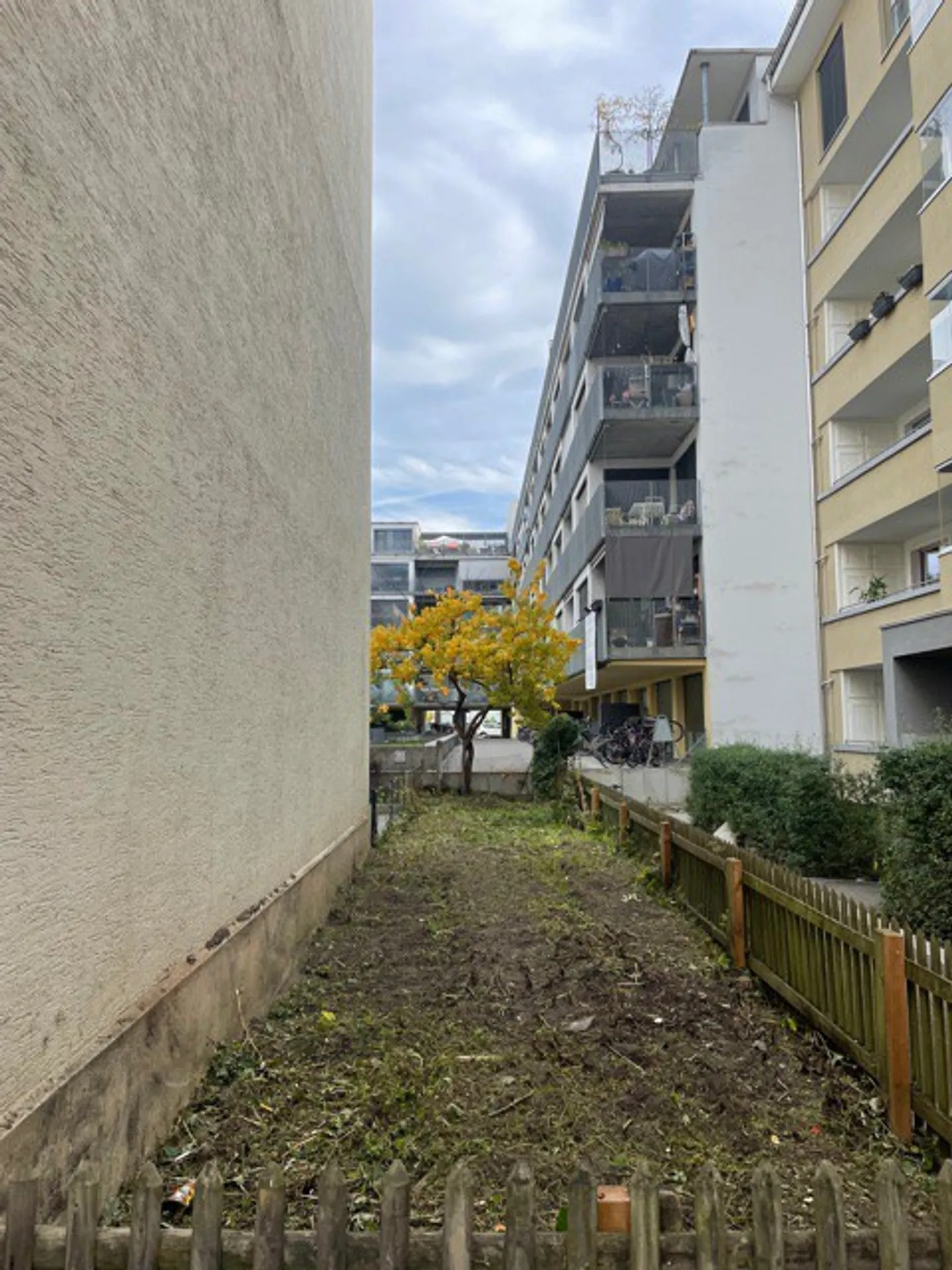 Garden for rent in Basel - Photo 1 of 2