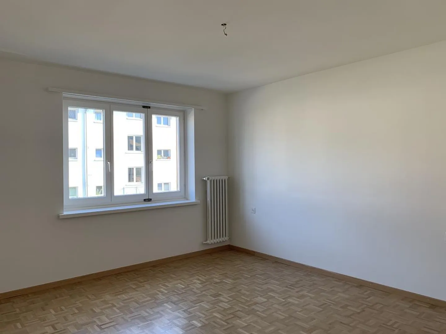 Pendler Aufgepasst! Direktverbindung Thayngen-Zürich HB - Foto 10 von 11