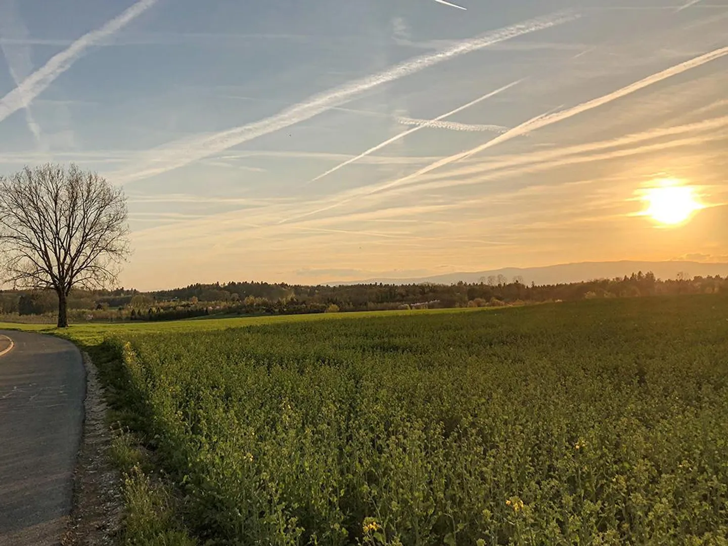 «CHESEAUX-SUR-LAUSANNE OVEST - APPARTAMENTO AFFASCINANTE E LUMINOSO» - Foto 1 di 3