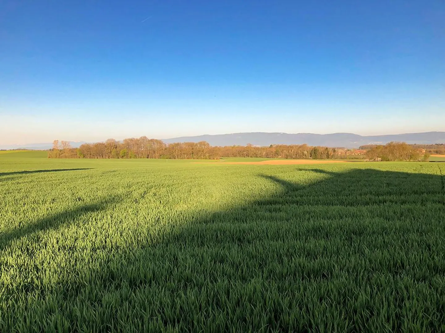 «CHESEAUX-SUR-LAUSANNE OVEST - APPARTAMENTO AFFASCINANTE E LUMINOSO» - Foto 3 di 3