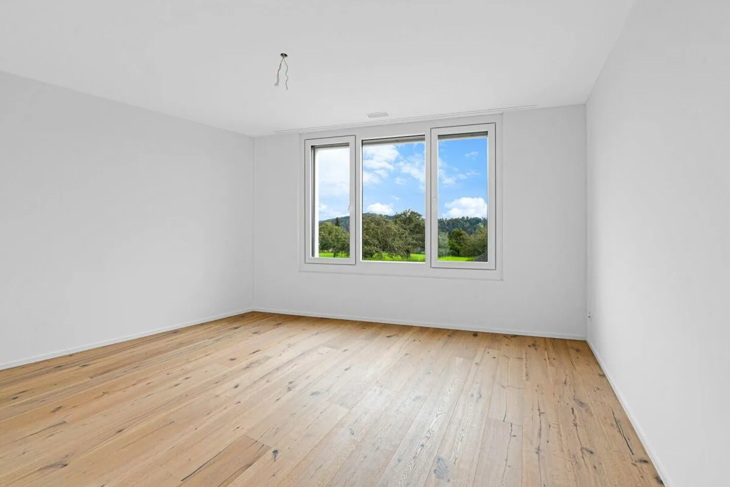 Dreamlike new apartment with a view of the Säntis! - Photo 4 of 19