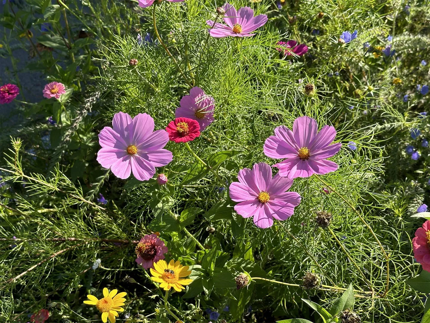 Appartement penthouse exclusif avec grande terrasse sur le toit - Photo 23 sur 23