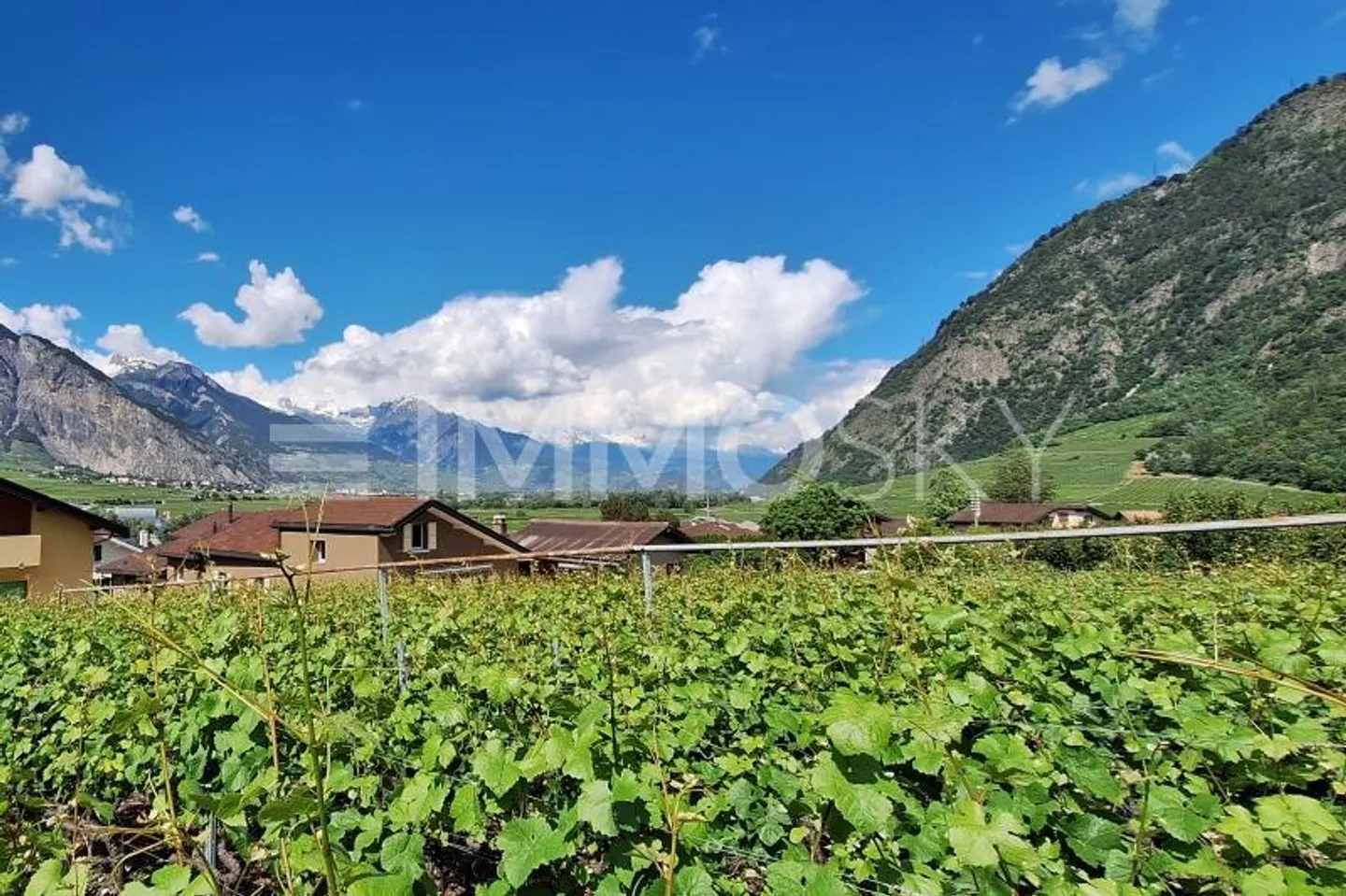 Family home with great potential - Photo 1 of 5