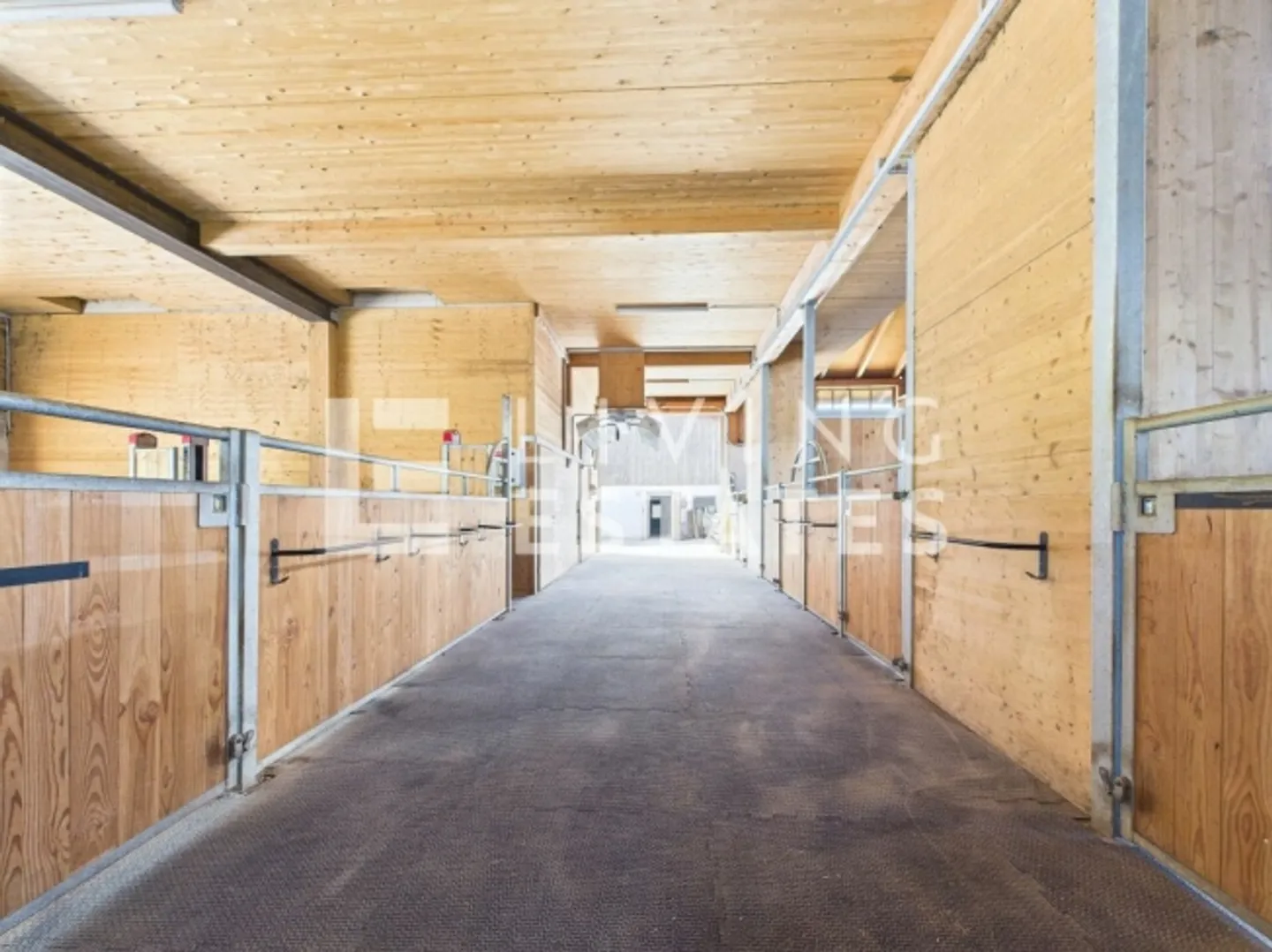 IDILLIO EQUESTRE AL MASSIMO LIVELLO - COMFORT ABITATIVO CON STILE - Foto 12 di 19