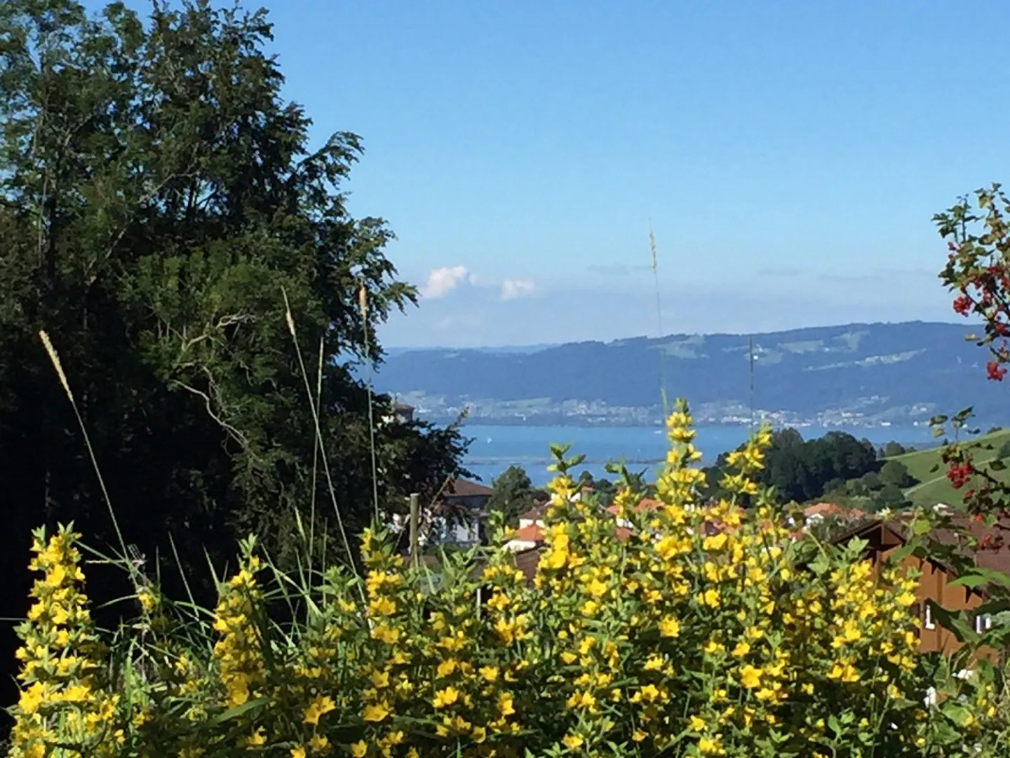 Dream apartment with beautiful lake view - Photo 13 of 14