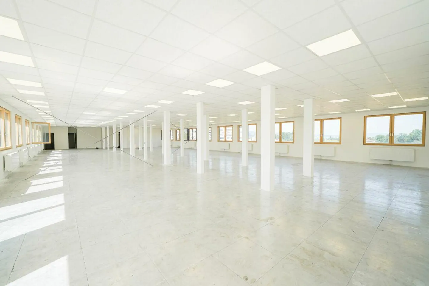 Attraktive und offene Büro-/Gewerbefläche in Neubau mit grosser Ter... - Foto 2 von 7