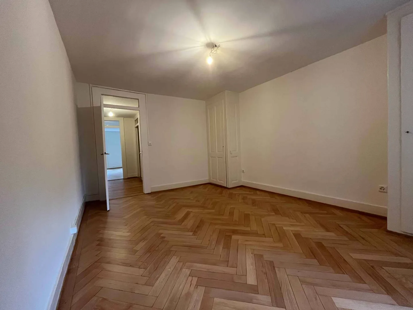Charming Apartment in Geneva - Photo 2 of 6