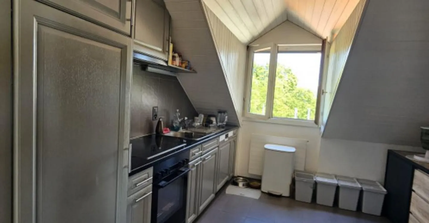 Magnificent duplex in the attic with fireplace - Chêne-Bourg - Photo 2 of 8