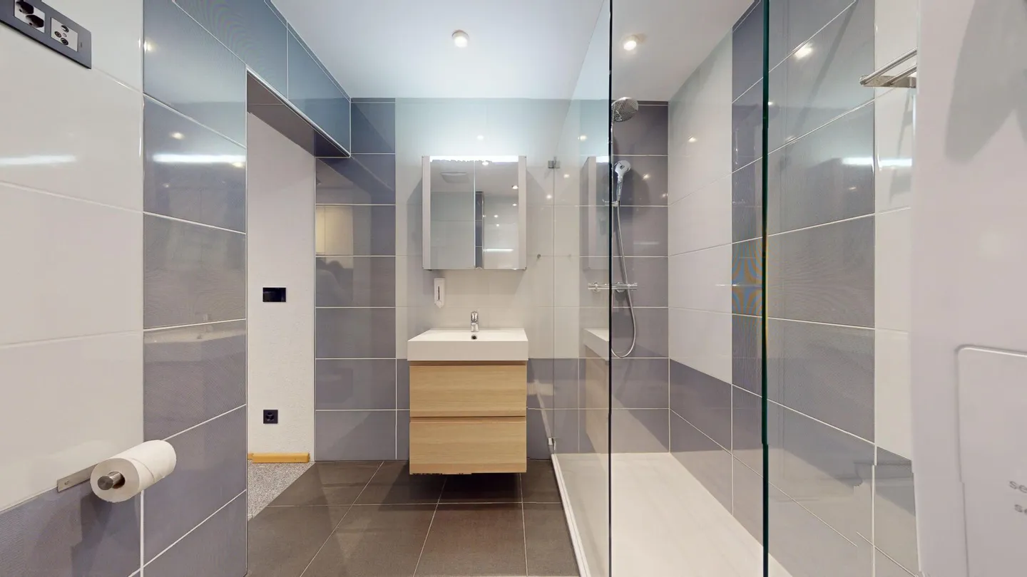 Unique Serviced Living @ Basel SBB / Gundeldingen - Photo 5 of 8