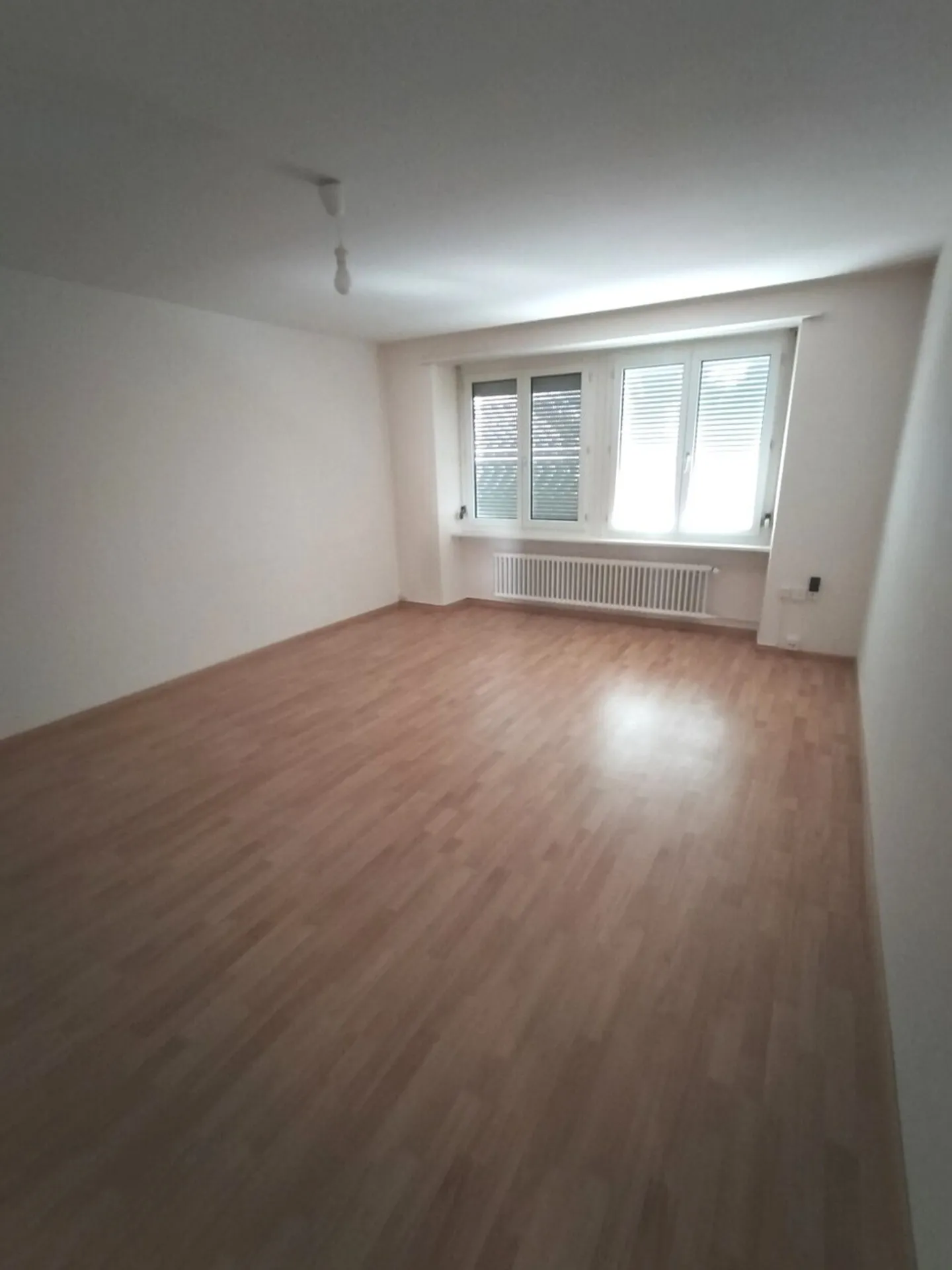 Cozy apartment in a great location! - Photo 3 of 9