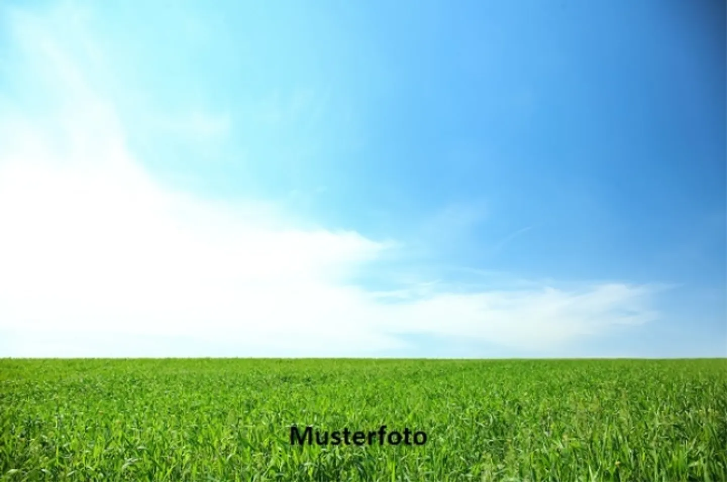 *Habitation* - Foto 1 von 1