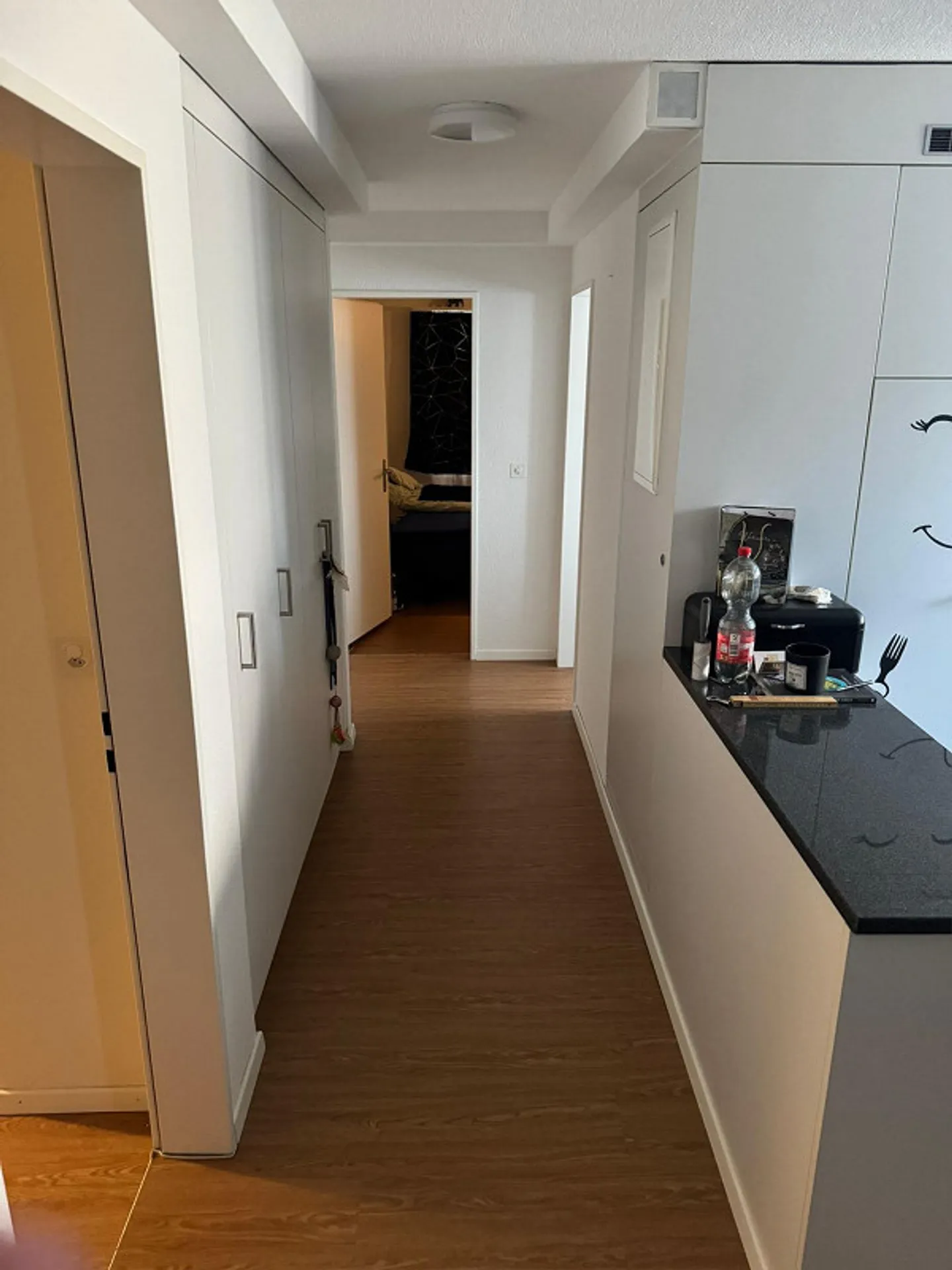 Incantevole appartamento di 4,5 stanze con nuova estensione del balcone - Foto 6 di 11