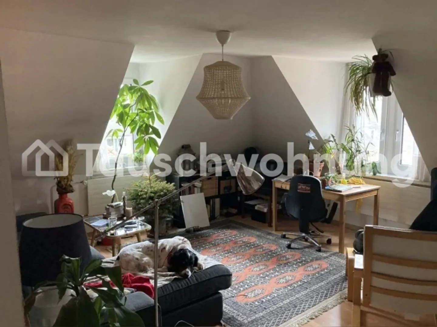 Appartement Charmant à Wipkingen - Photo 1 sur 1