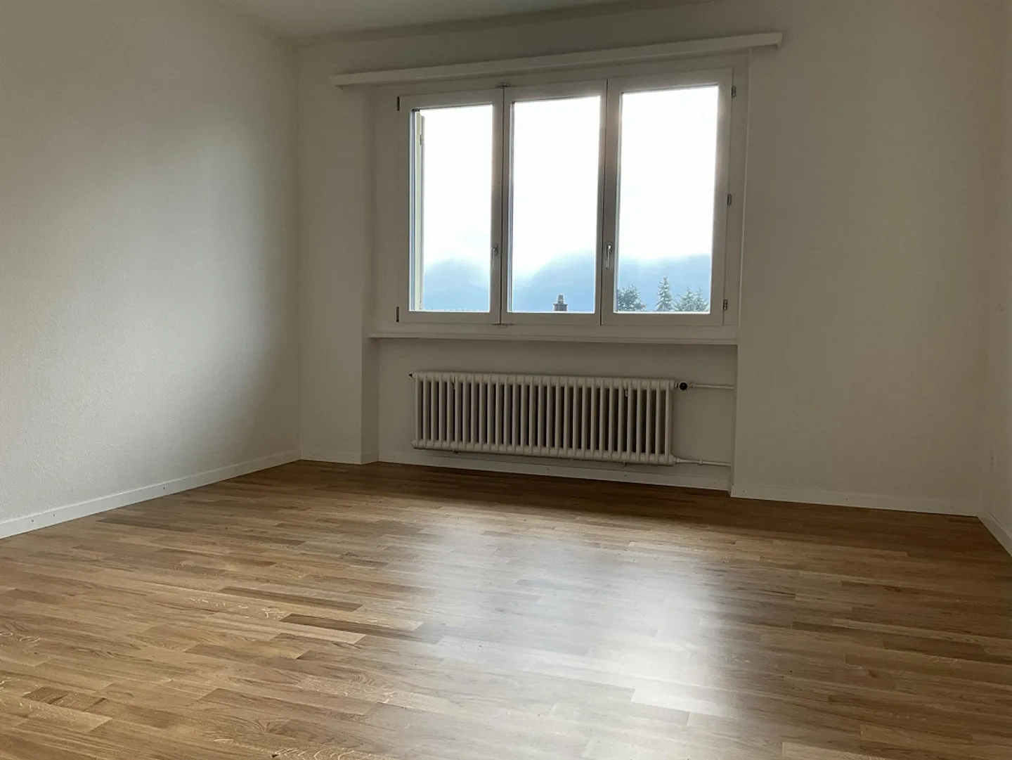 Appartamento giardino appena ristrutturato nel cuore di Meggen - Foto 11 di 13