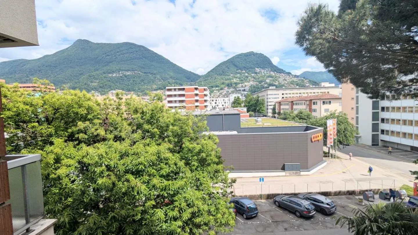Molino Nuovo, 3.5 high floor, terrace and balcony - Photo 2 of 13