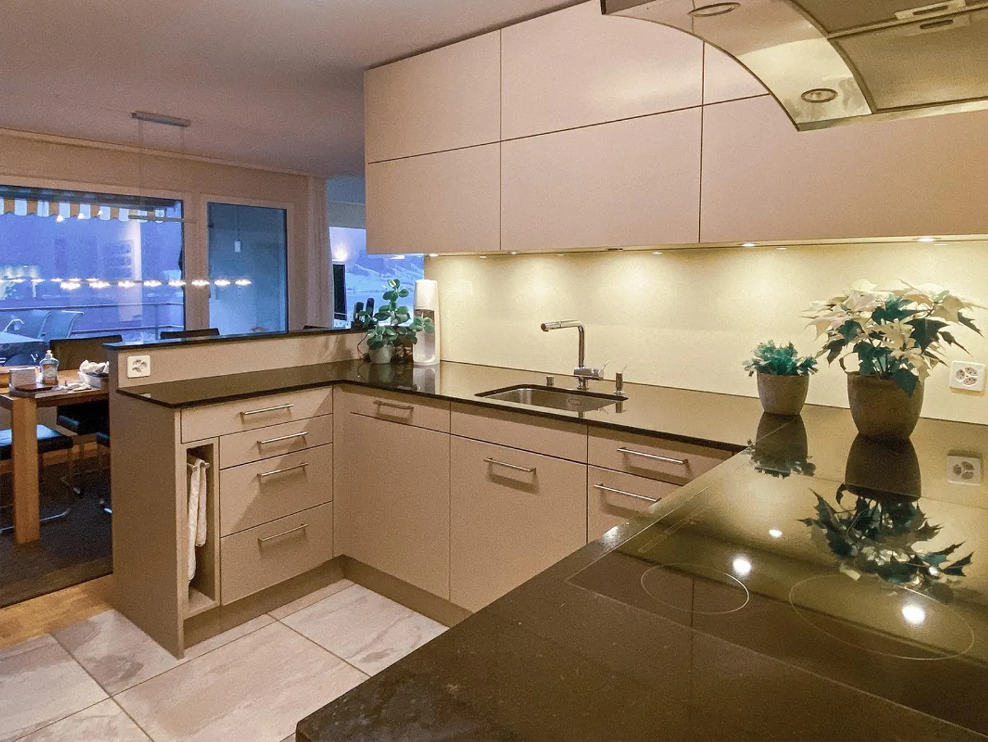 Appartement 3½ pièces avec vue sur le lac et la montagne - Photo 5 sur 13