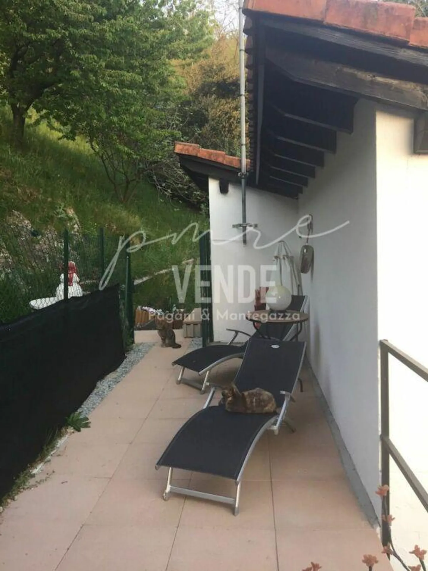 Morbio Inferiore | Amante dei Giardini, degli Animali e della Vita all'Aria Aperta - Foto 12 di 12