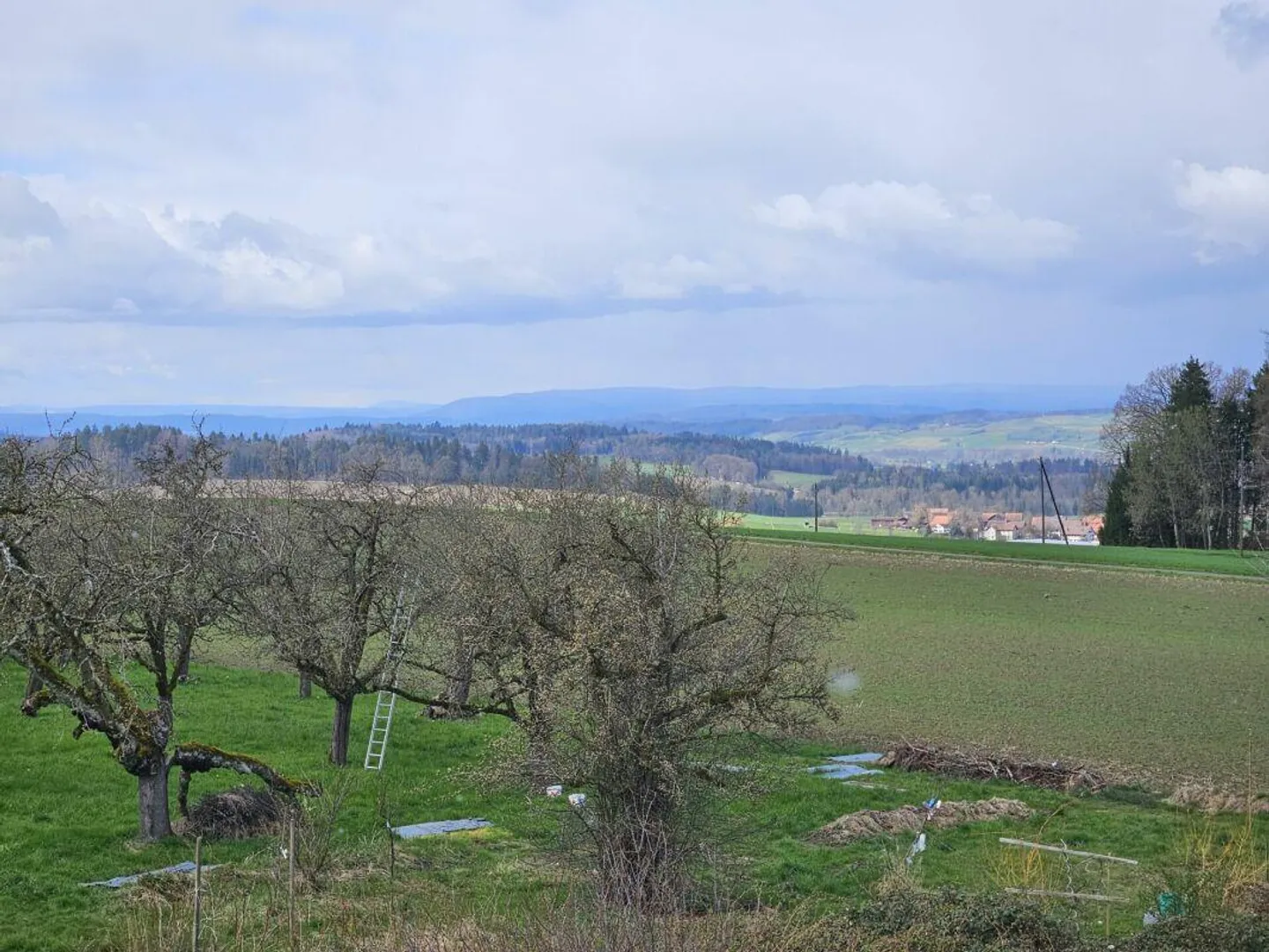 Neues 2.5-Zimmer-Loft in Liebensberg - Foto 1 von 7
