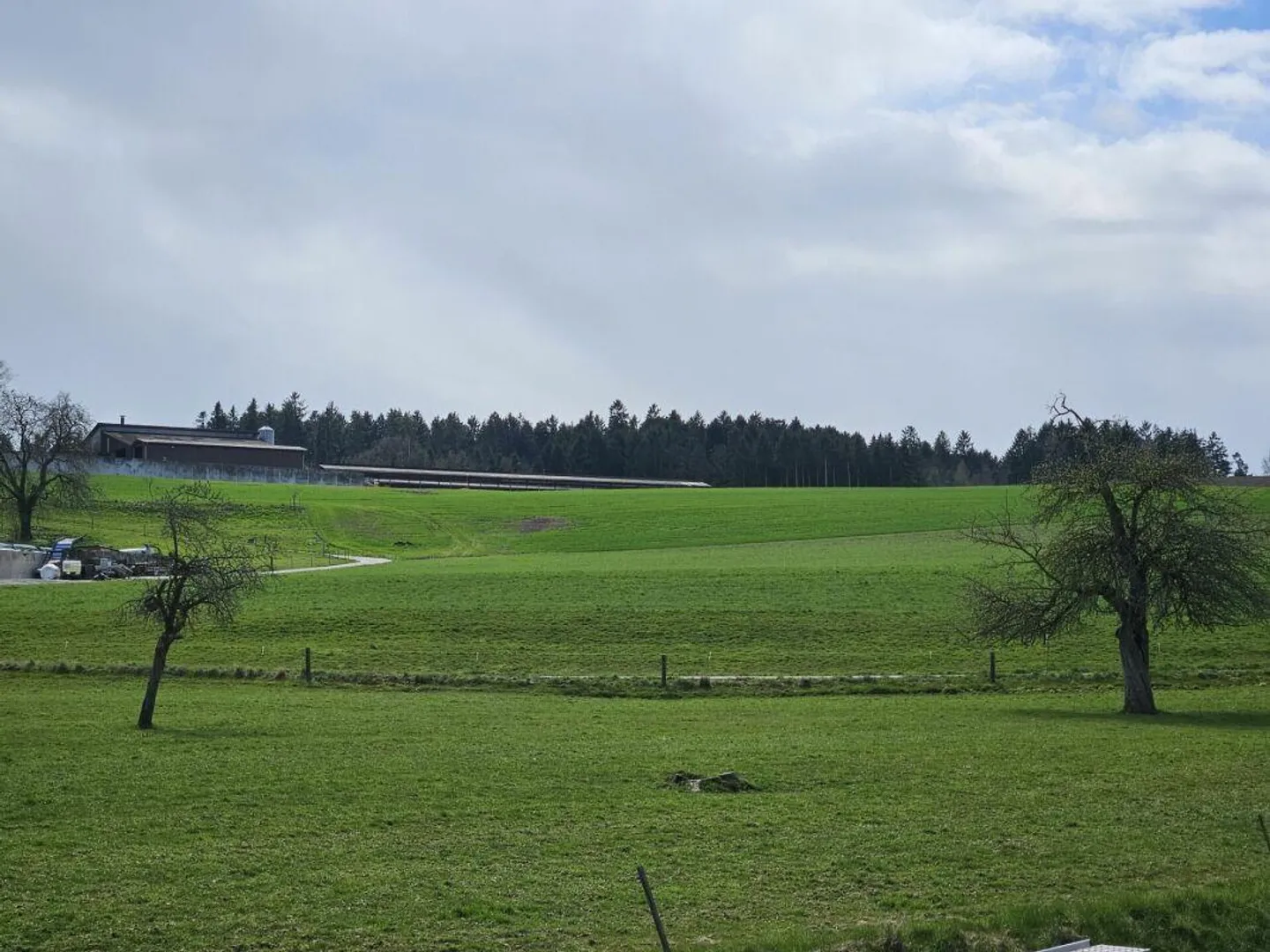 Neues 2.5-Zimmer-Loft in Liebensberg - Foto 2 von 7