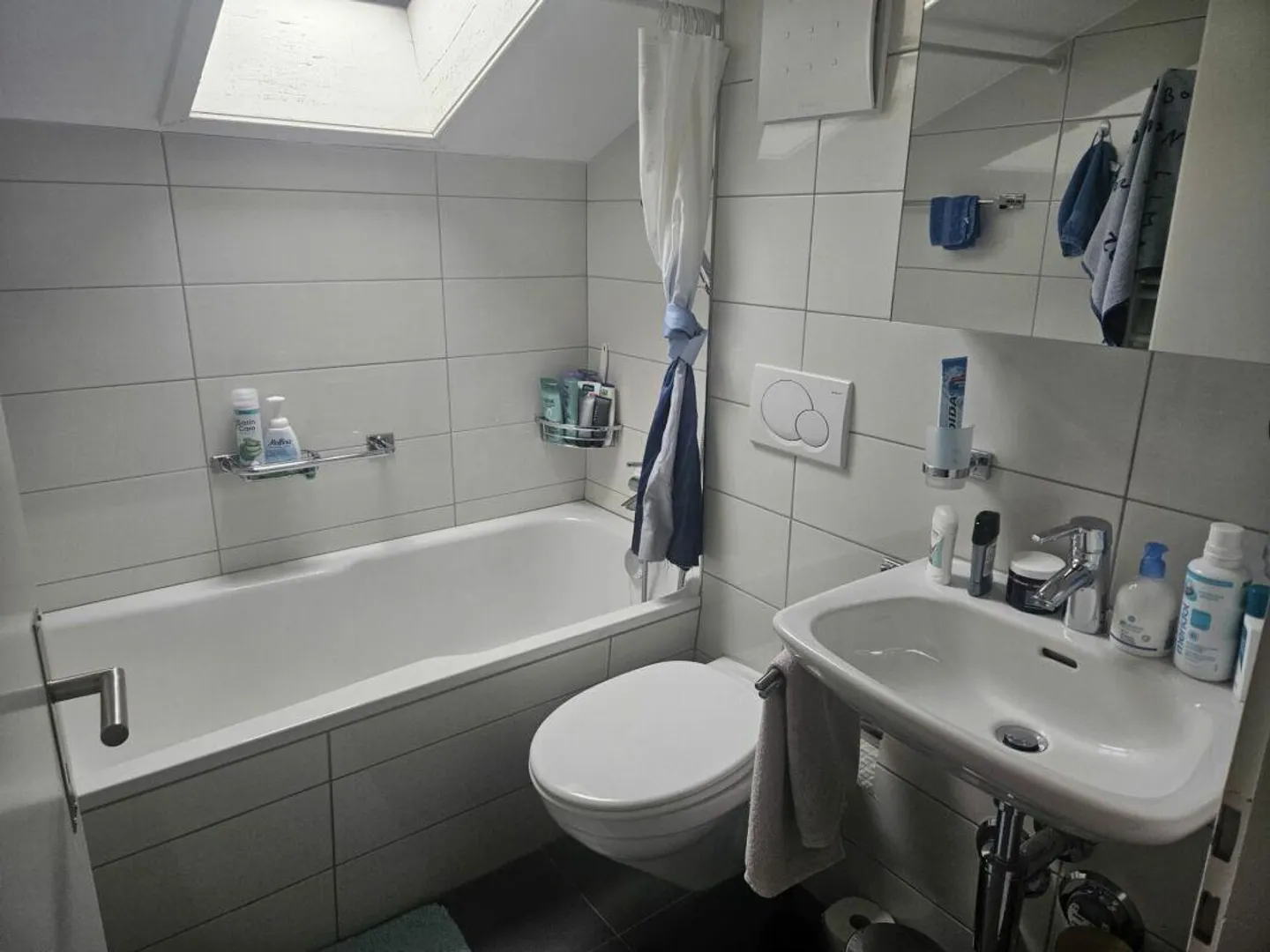 Nature-oriented living - 1.5-room apartment - Photo 4 of 5