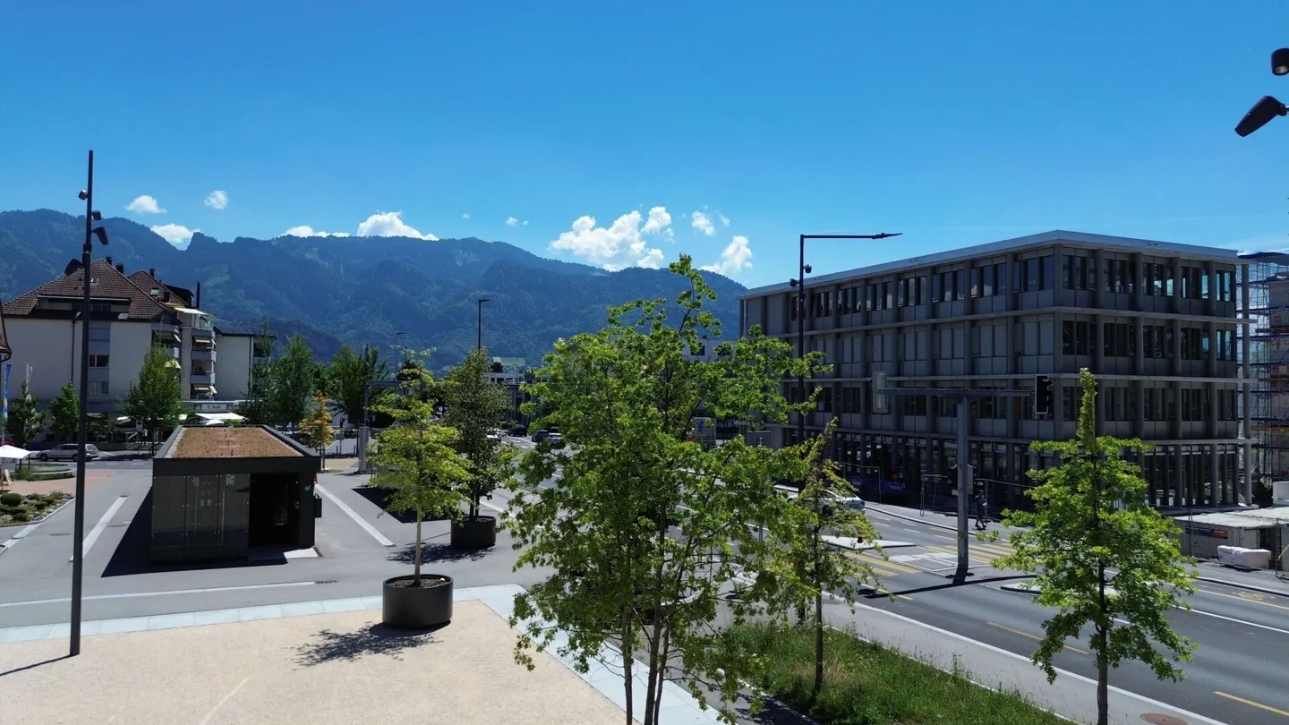 Développement du centre de Diepoldsau : Espace pour vos visions - Prêt à emménager été 2026 ! - Photo 4 sur 11