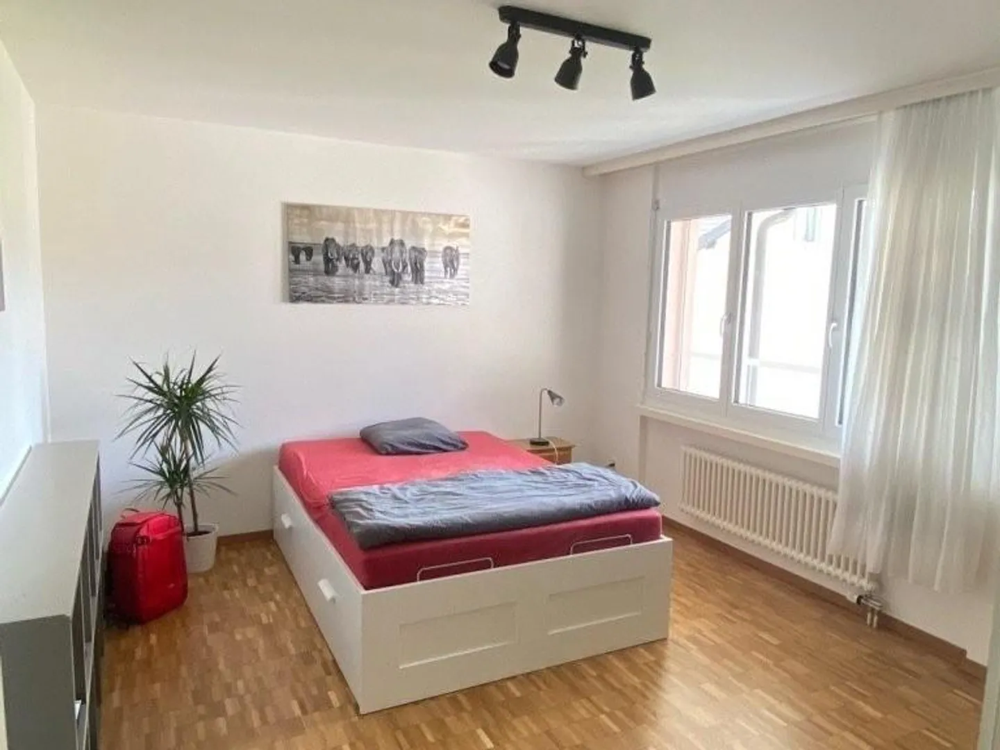 Ampio appartamento di 3.5 stanze a Zurigo - Foto 2 di 5