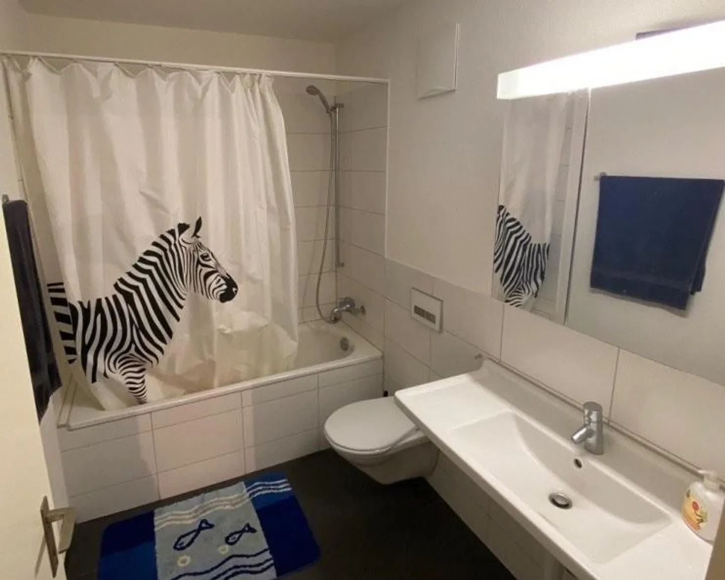 Ampio appartamento di 3.5 stanze a Zurigo - Foto 5 di 5