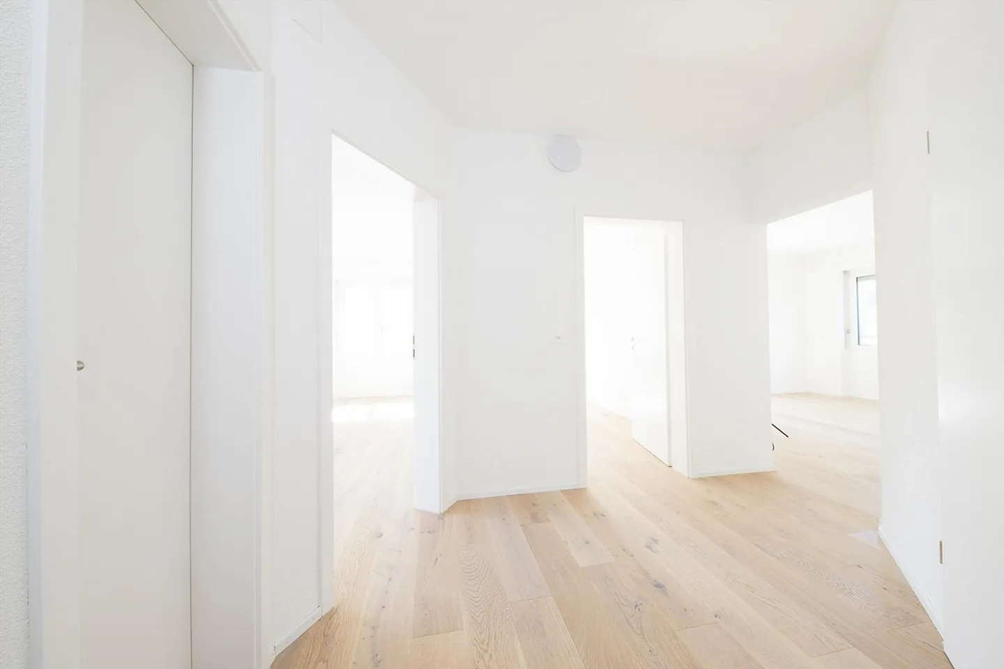 Appartamento ristrutturato di 4,5 stanze con vista - Foto 3 di 7