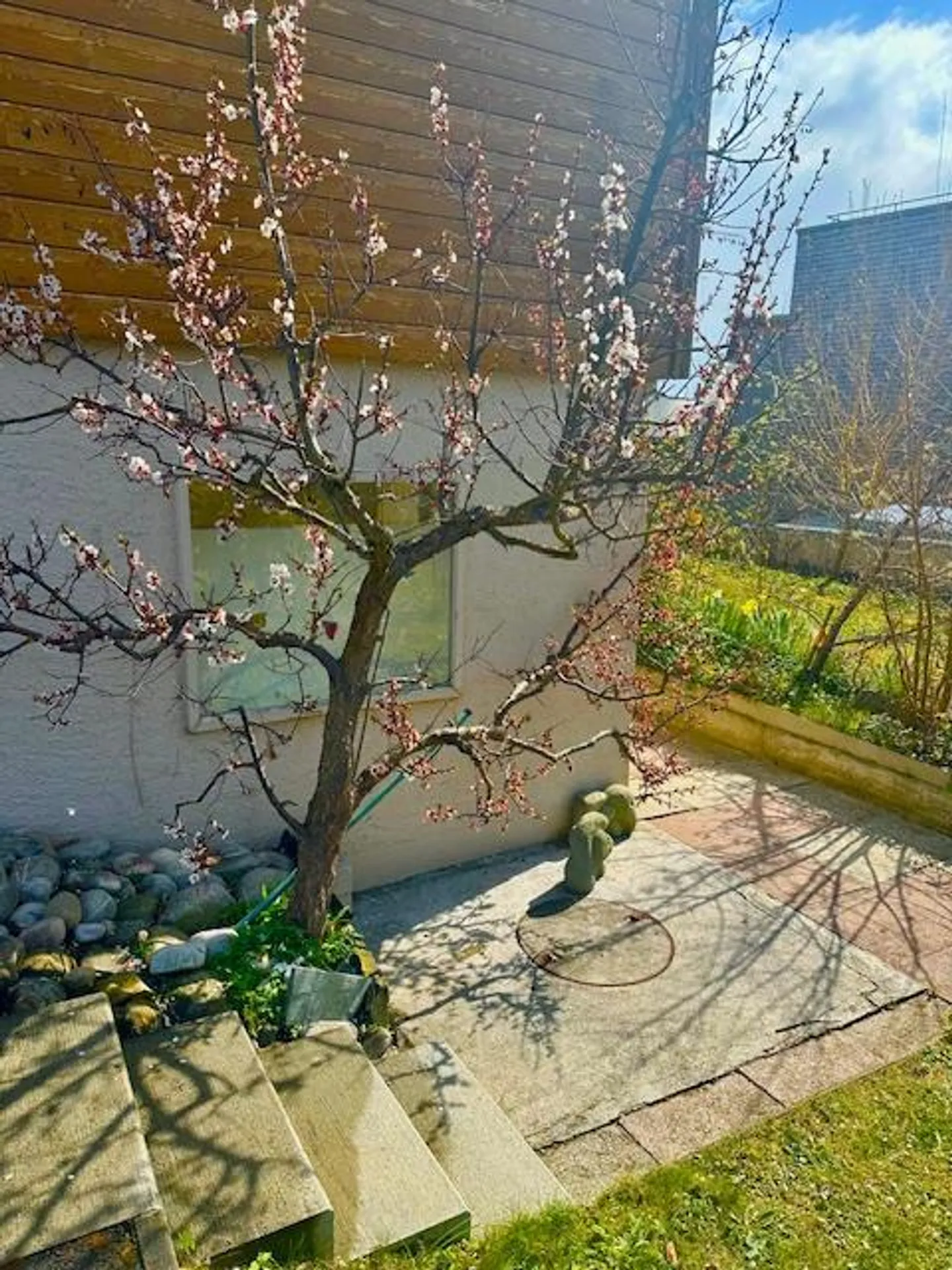 Moderno appartamento luminoso di 3,5 stanze con giardino e vista sulle montagne a Hünibach - Foto 4 di 23