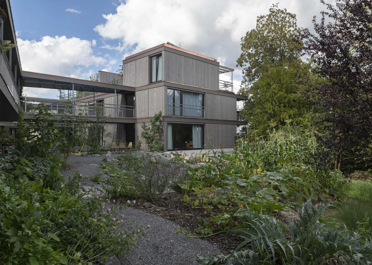 Vivre dans les arbres : appartement de 5,5 pièces - Photo 3 sur 6