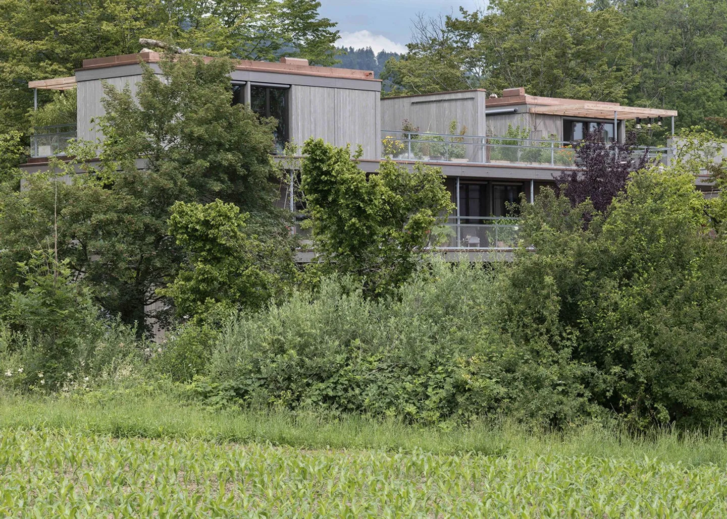 Vivre dans les arbres : appartement de 5,5 pièces - Photo 6 sur 6
