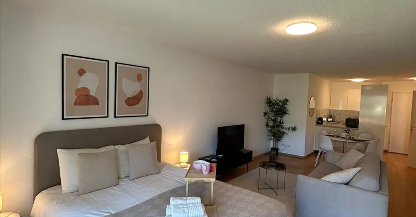 Neugasse 83 – Stylish Newly Furnished Studio in the Heart of Zurich! - Photo 1 of 5