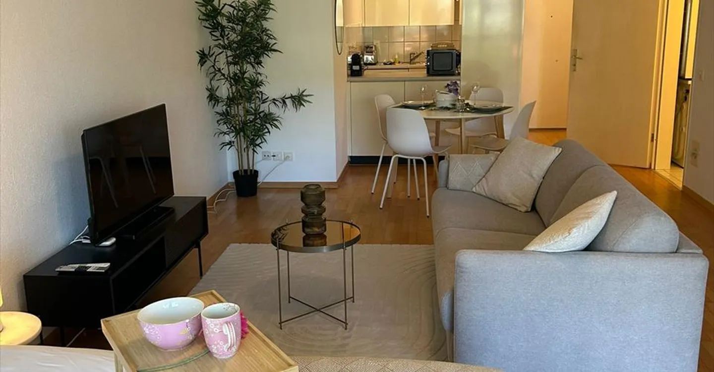 Neugasse 83 – Stylish Newly Furnished Studio in the Heart of Zurich! - Photo 2 of 5