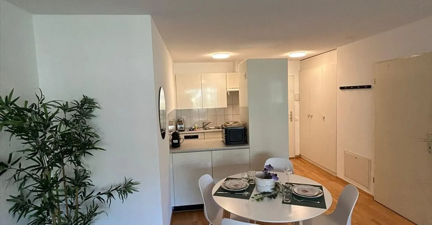 Neugasse 83 – Stylish Newly Furnished Studio in the Heart of Zurich! - Photo 3 of 5