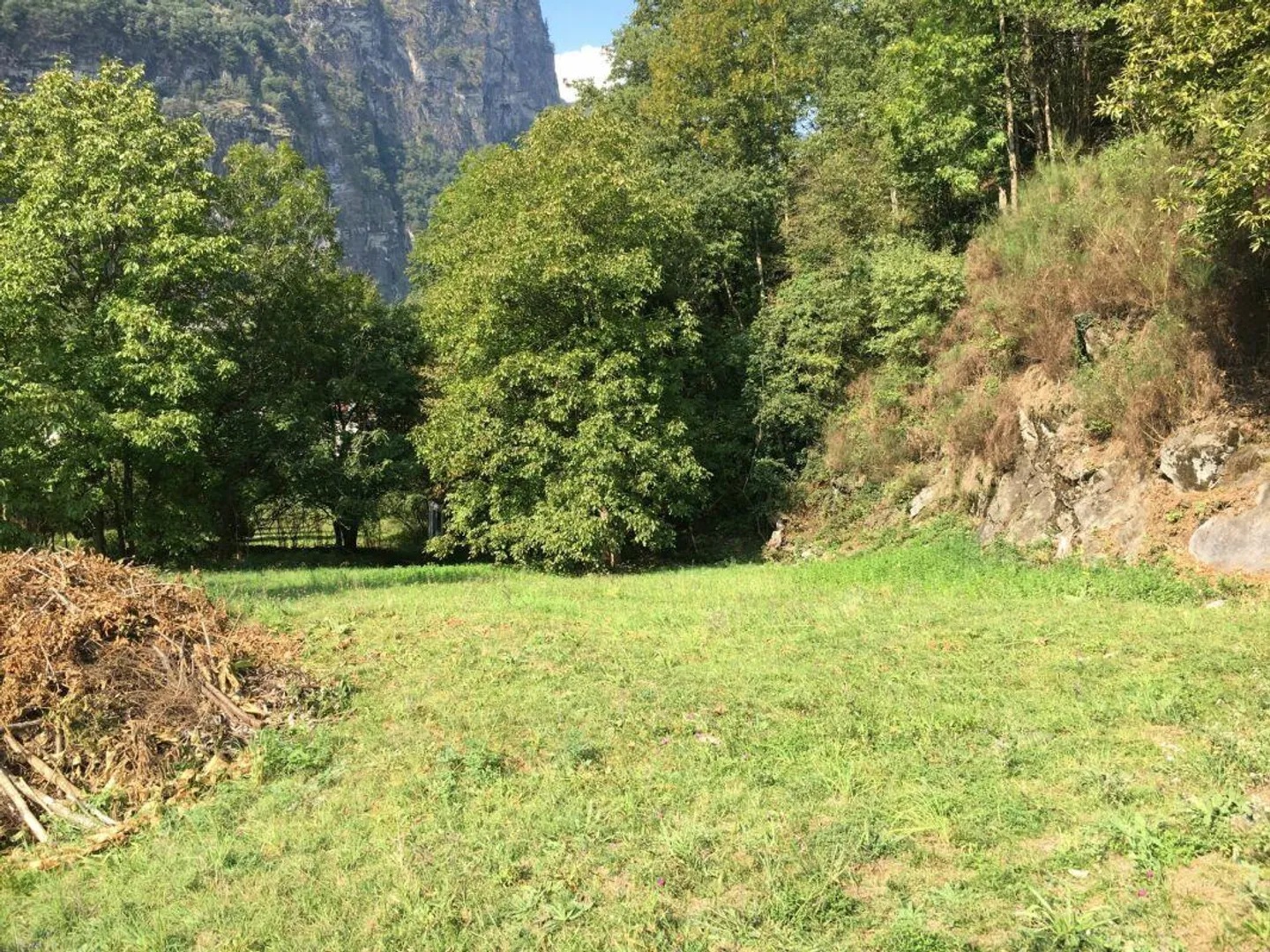 Terrain constructible R3 + terrain boisé - Photo 1 sur 9