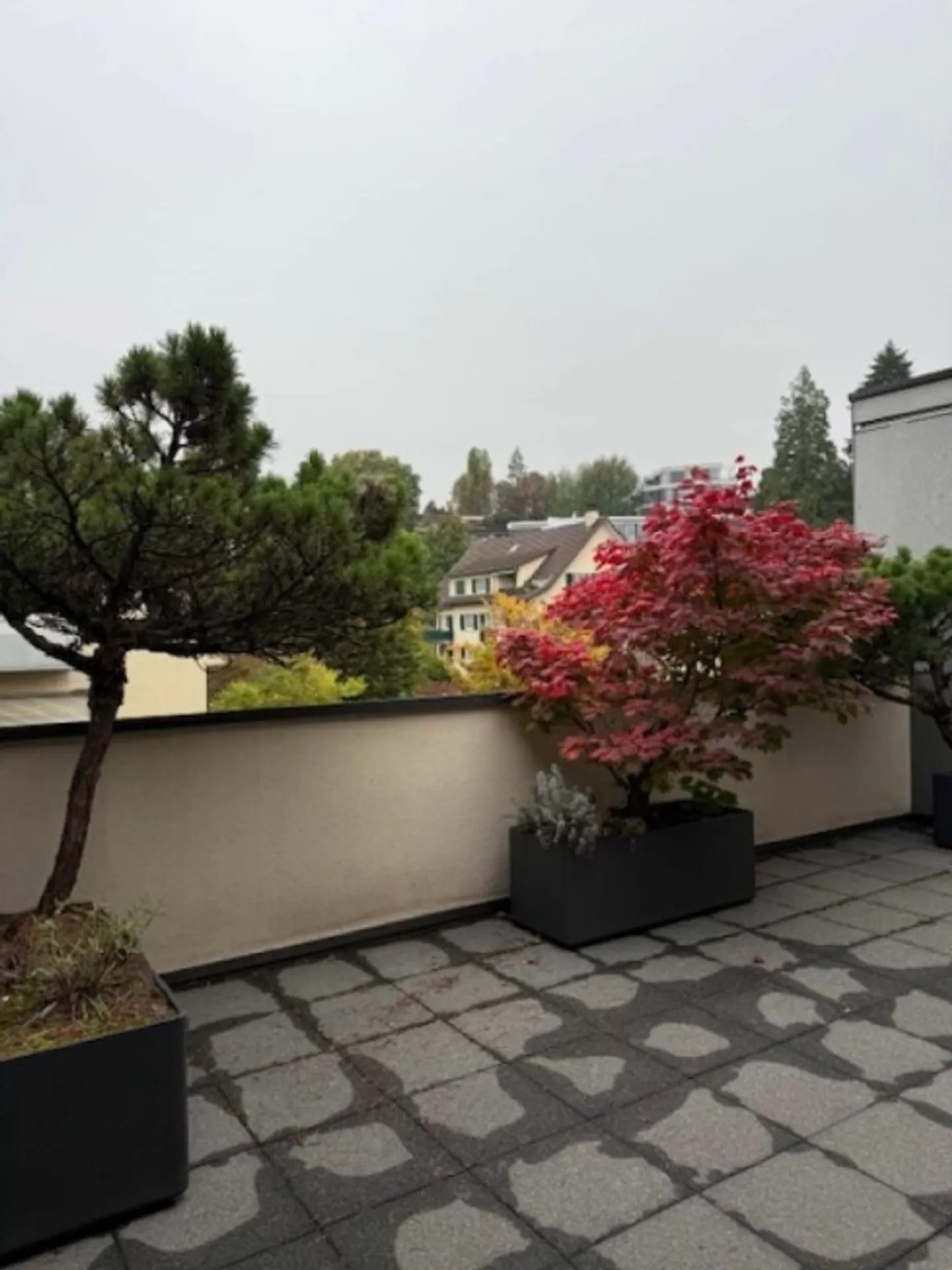 Appartement 4,5 pièces dans une rue résidentielle calme (limité à 1 an avec option de prolongation) - Photo 1 sur 8