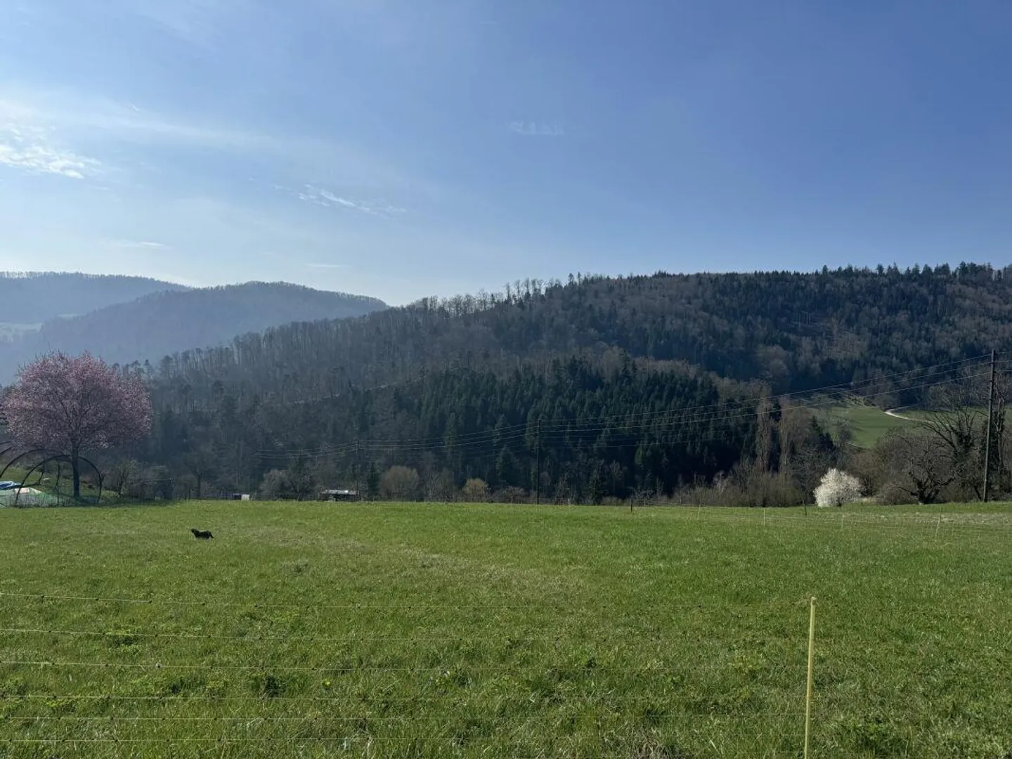 Geräumiges Grundstück mit Weitsicht - Foto 2 von 2