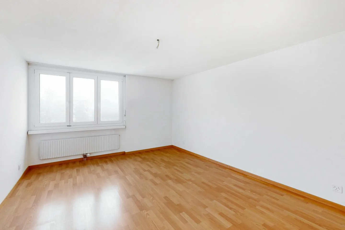 Charming apartment is looking for you! - Photo 3 of 8