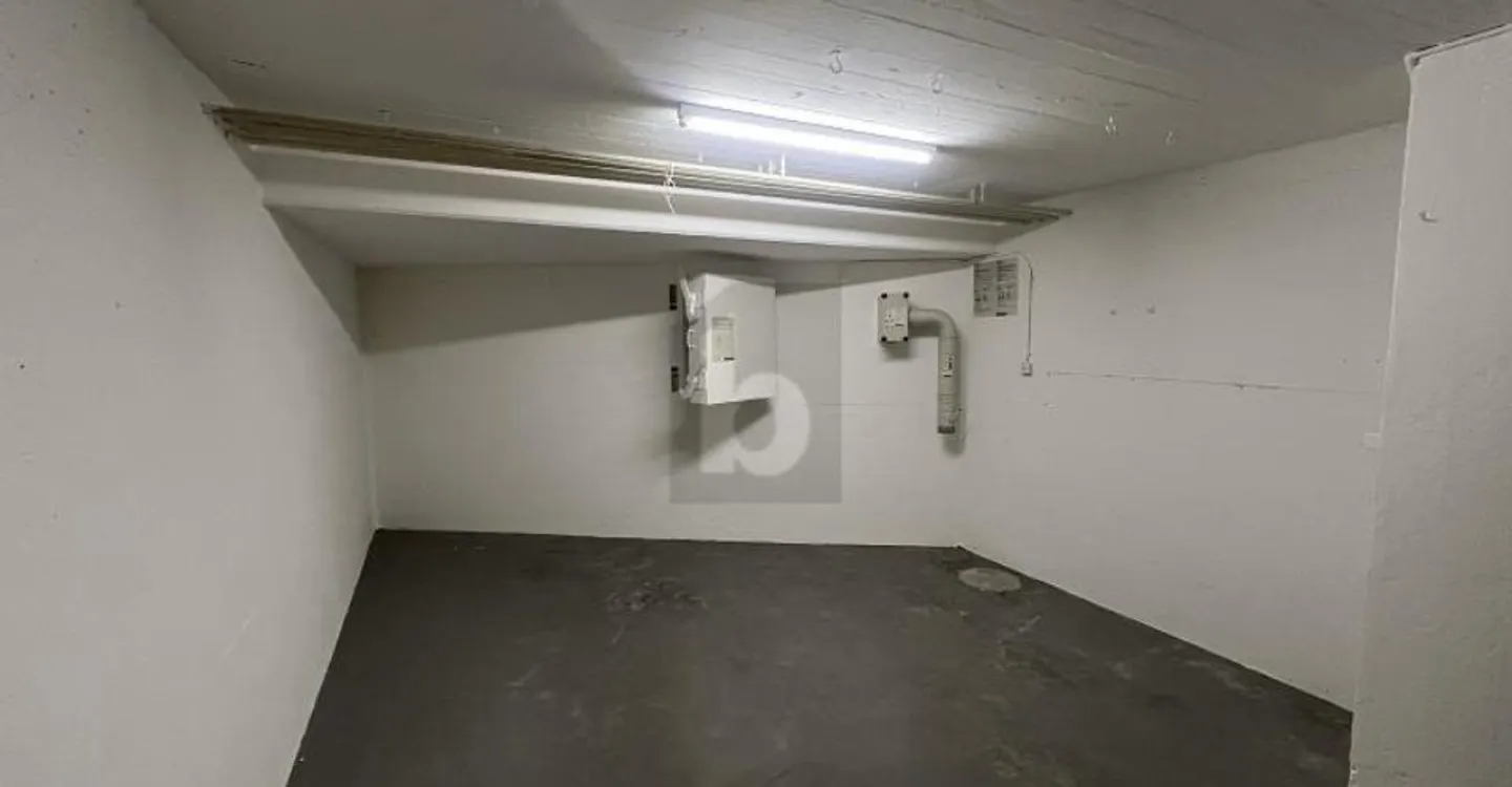 Geräumige Gewerbefläche mit Garage - Foto 4 von 5