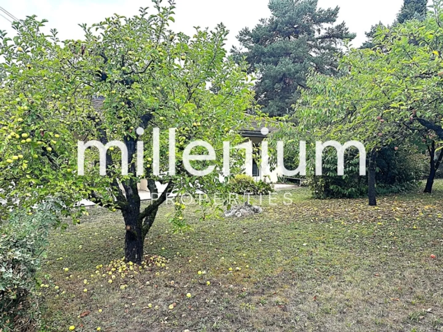 Villa indipendente di 7 stanze - Vicino alle Organizzazioni Internazionali - Foto 2 di 11