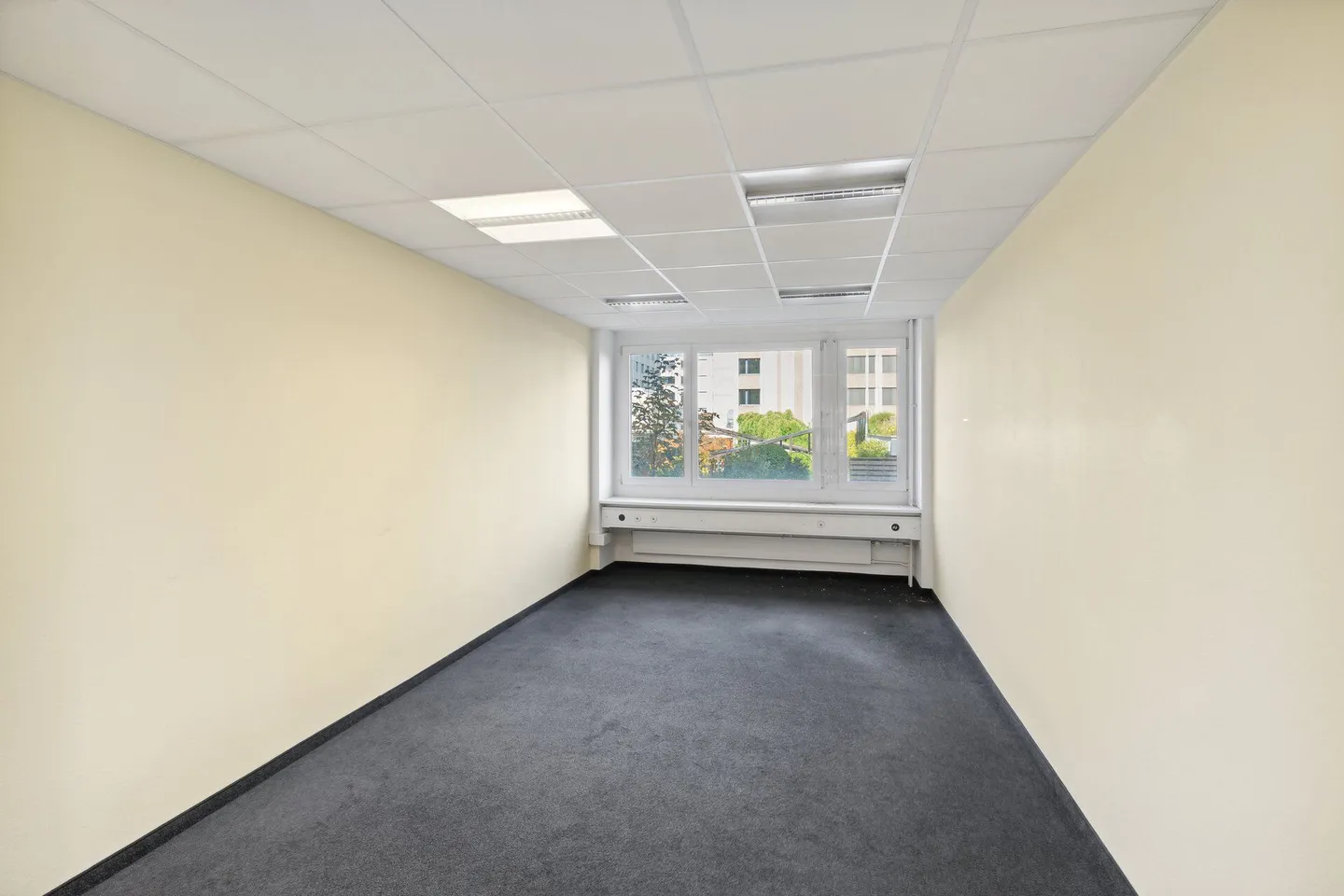 Representative business or residential address in the heart of Zurich! - Photo 30 of 45